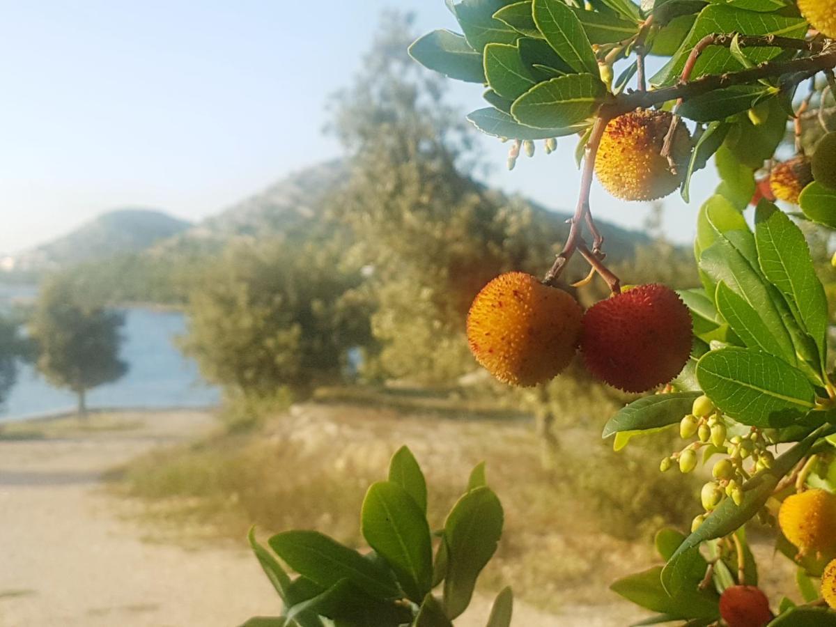 Eden Lady Mobile Home, Croatia, Drage Eksteriør billede