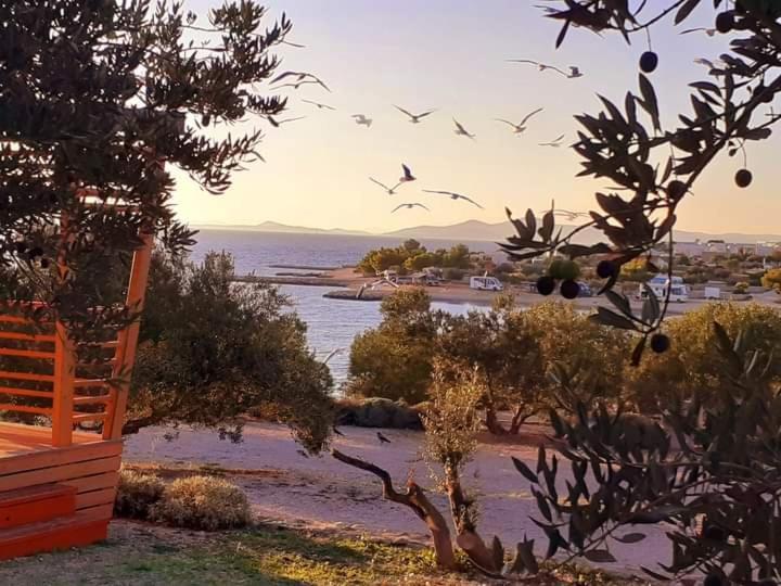 Eden Lady Mobile Home, Croatia, Drage Eksteriør billede